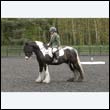 durdress22_0675