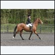 durdress22_0677