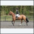 durdress22_0678