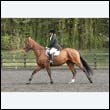 durdress22_0679