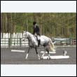 durdress22_0681