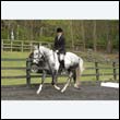 durdress22_0682