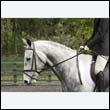 durdress22_0684