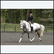 durdress22_0686