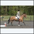 durdress22_0689