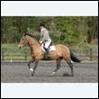 durdress22_0690