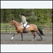 durdress22_0691