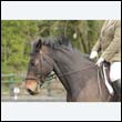 durdress22_0694