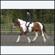 durdress22_0699