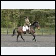 durdress22_0702