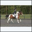 durdress22_0706