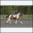 durdress22_0707