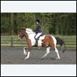 durdress22_0708