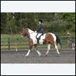durdress22_0709
