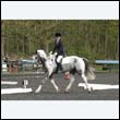durdress22_0711