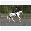 durdress22_0712