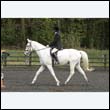 durdress22_0725