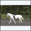 durdress22_0728