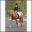 durdress22_0730