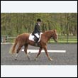 durdress22_0732