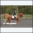 durdress22_0734