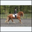 durdress22_0735