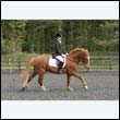 durdress22_0736