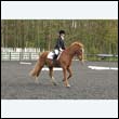 durdress22_0738