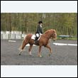 durdress22_0739