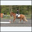 durdress22_0740