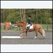 durdress22_0741