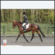 durdress22_0742