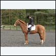 durdress22_0743