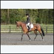 durdress22_0744