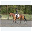 durdress22_0745