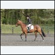 durdress22_0746