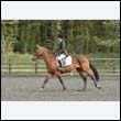 durdress22_0747