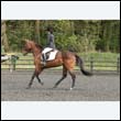 durdress22_0748