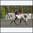 durdress22_0749