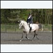 durdress22_0751
