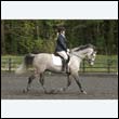 durdress22_0752
