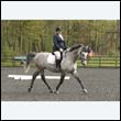 durdress22_0754