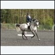 durdress22_0756