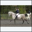 durdress22_0760