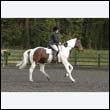 durdress22_0761