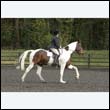 durdress22_0762
