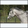 durdress22_0763
