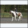 durdress22_0764