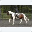 durdress22_0766
