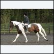 durdress22_0767